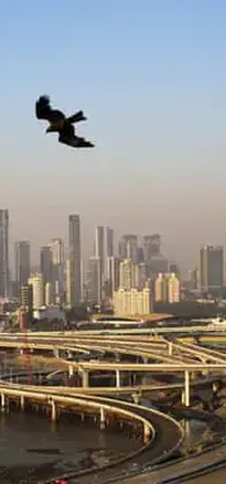 What would it take to make India’s cities better – and safer?