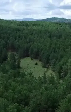 27 İlde Bazı Alanlar Orman Sınırları Dışına Çıkarıldı