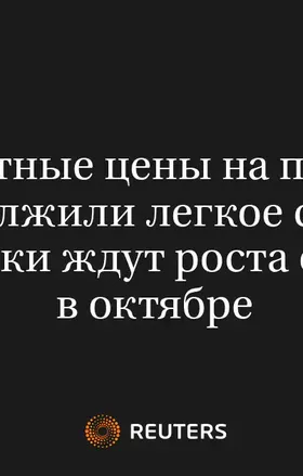 Экспортные Цены на Пшеницу РФ Продолжили Легкое Снижение, Аналитики Ждут Роста Отгрузок в Октябре