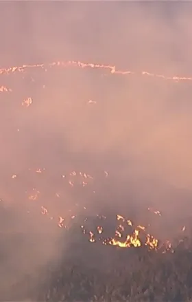 UN Gran Incendio Arrasa Más de 400 Hectáreas en el Bosque Nacional de Ángeles y Desalojan A Residentes Cercanos