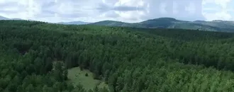 27 İlde Bazı Alanlar Orman Sınırları Dışına Çıkarıldı