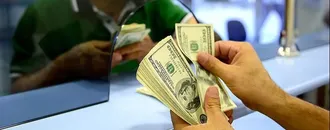 Dolar Kaç TL Oldu, Euro Ne Kadar? (20 Eylül Pazar Döviz Kurları)