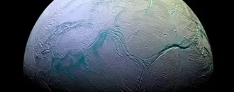 Earth Microbes Survive Simulated Conditions of Saturn Moon’s Ocean