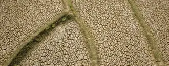 ‘Forcing A Reckoning’: How Asia Is Preparing For A ‘Supersized’ El Niño
