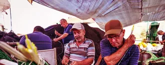 Güney Marmara ve Kuzey Ege'deki balıkçılar "vira bismillah" için hazır