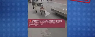 Non, la Police Nationale N’A Pas Lâché UN Chien sur des Lycéens à Lille