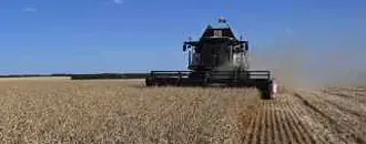 Второй Крупнейший Аграрный Регион России Ввел Режим ЧС из-За Невозможности Продать Зерно