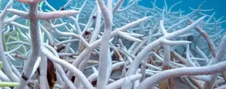 World’s Seas Heated by a Record 23 Zettajoules Last Year