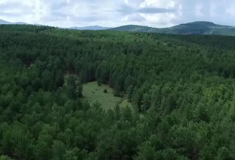27 İlde Bazı Alanlar Orman Sınırları Dışına Çıkarıldı