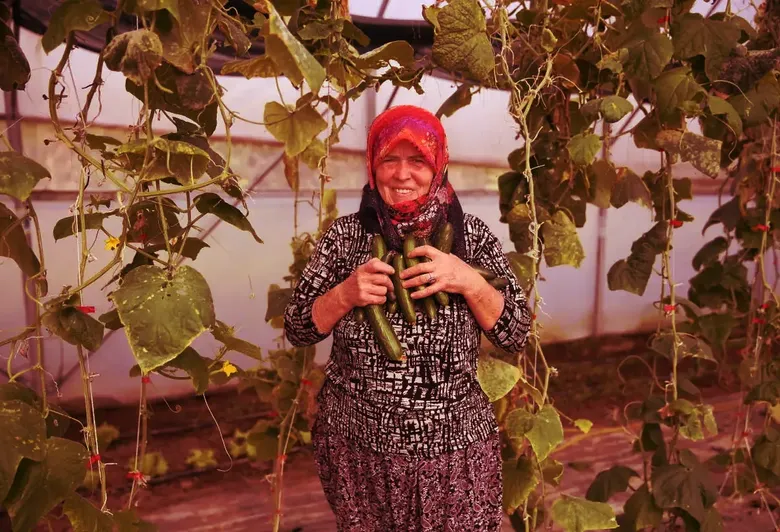 Edirneli Şirin teyze ikinci serasına kavuşuyor