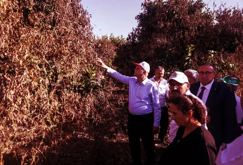 TZOB Genel Başkanı Bayraktar, Adana ve Mersin'deki tarım alanlarında incelemede bulundu