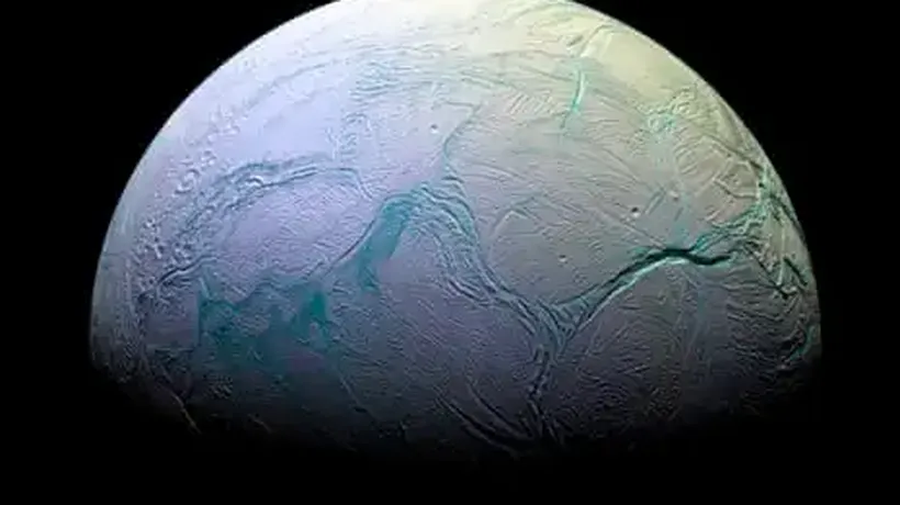 Earth Microbes Survive Simulated Conditions of Saturn Moon’s Ocean