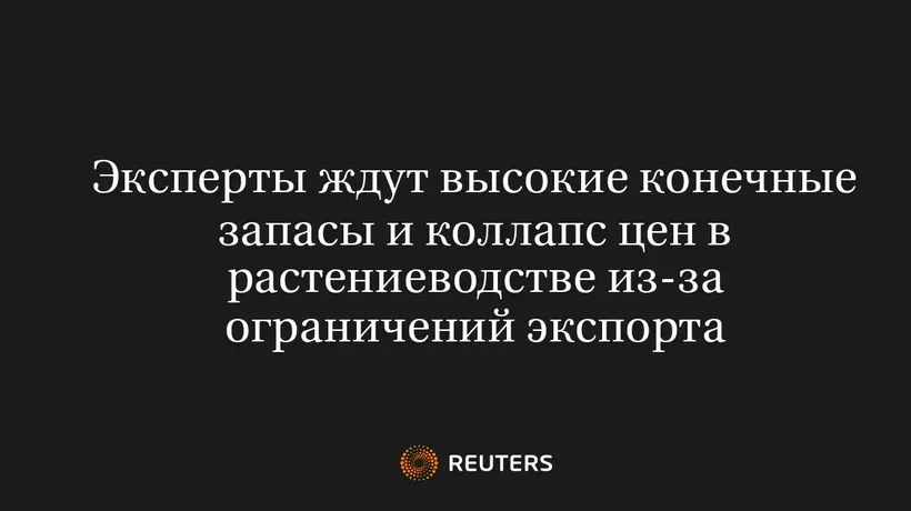 Эксперты Ждут Высокие Конечные Запасы и Коллапс Цен в Растениеводстве из-За Ограничений Экспорта
