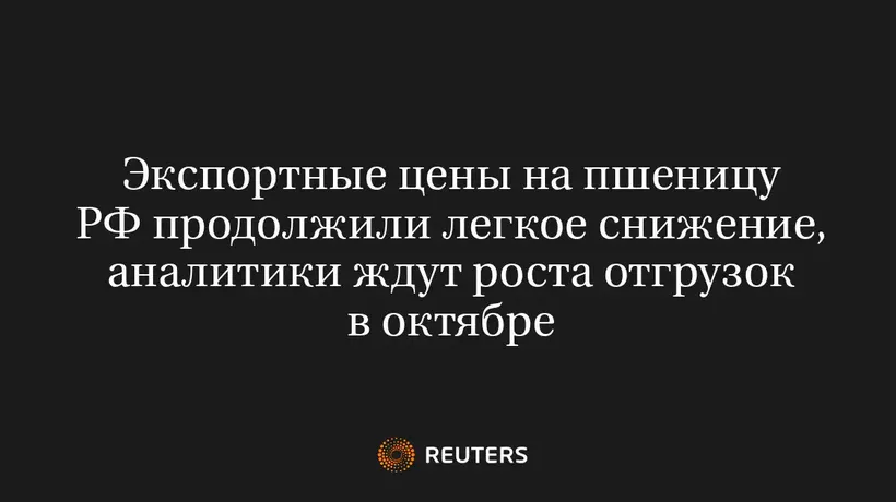 Экспортные Цены на Пшеницу РФ Продолжили Легкое Снижение, Аналитики Ждут Роста Отгрузок в Октябре
