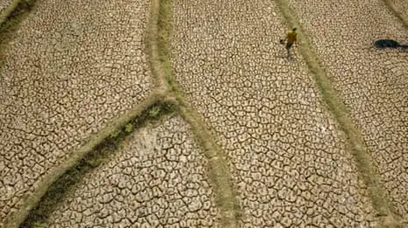 ‘Forcing A Reckoning’: How Asia Is Preparing For A ‘Supersized’ El Niño