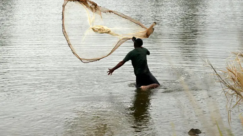 Les Dirigeants du Pacifique Alertent sur L'Urgence Climatique Avant la COP31