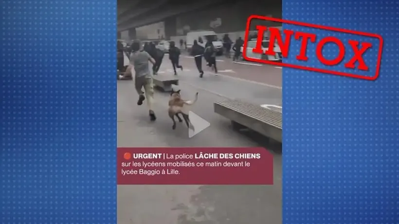 Non, la Police Nationale N’A Pas Lâché UN Chien sur des Lycéens à Lille