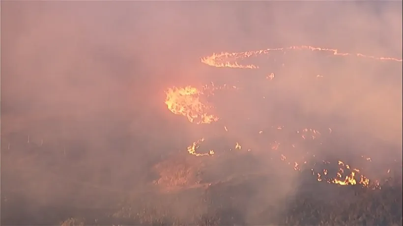 UN Gran Incendio Arrasa Más de 400 Hectáreas en el Bosque Nacional de Ángeles y Desalojan A Residentes Cercanos