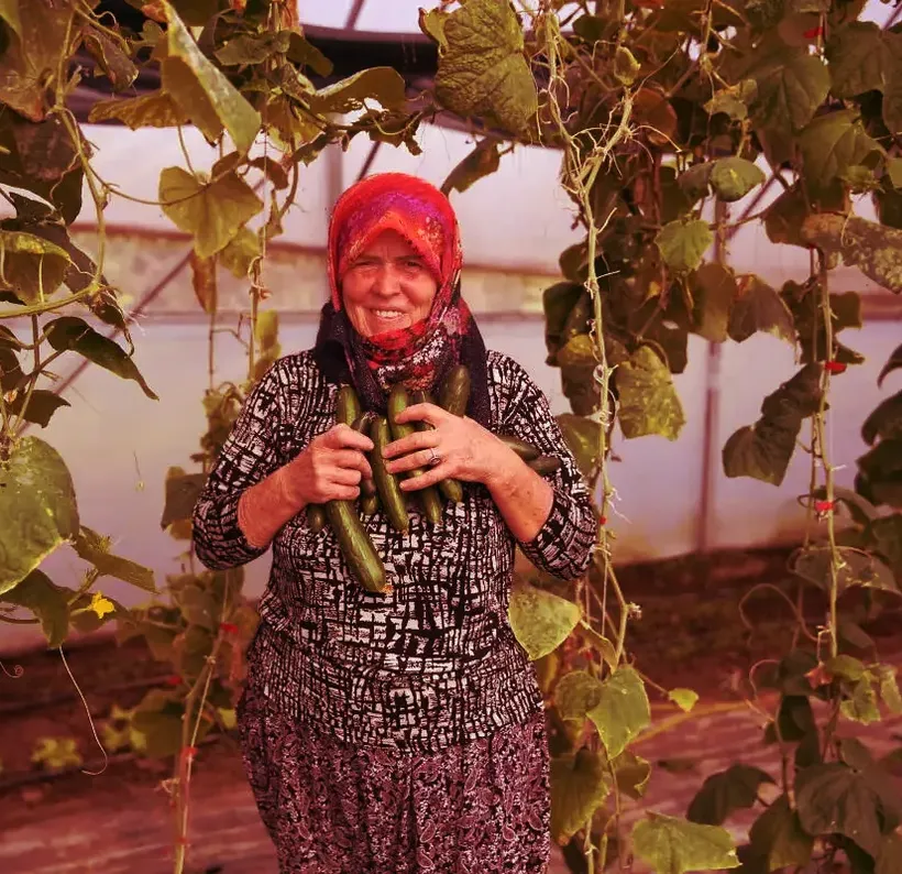 Edirneli Şirin teyze ikinci serasına kavuşuyor