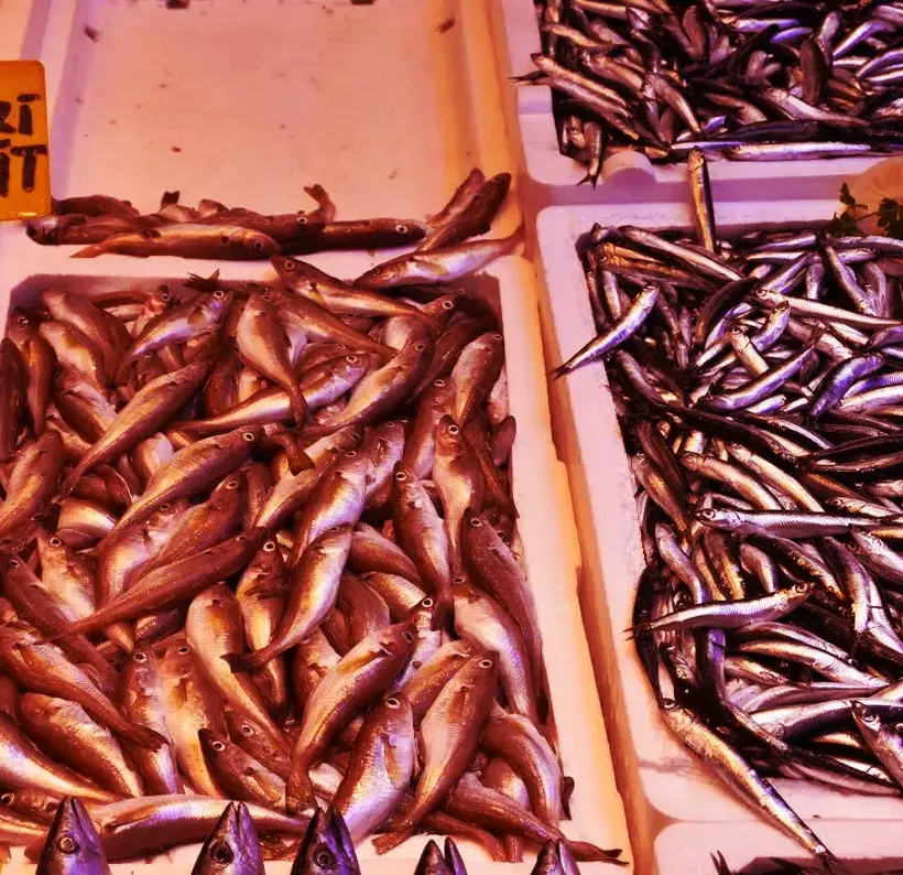 Trabzon'da balıkçı tezgahlarını hamsi süslüyor