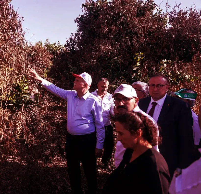TZOB Genel Başkanı Bayraktar, Adana ve Mersin'deki tarım alanlarında incelemede bulundu