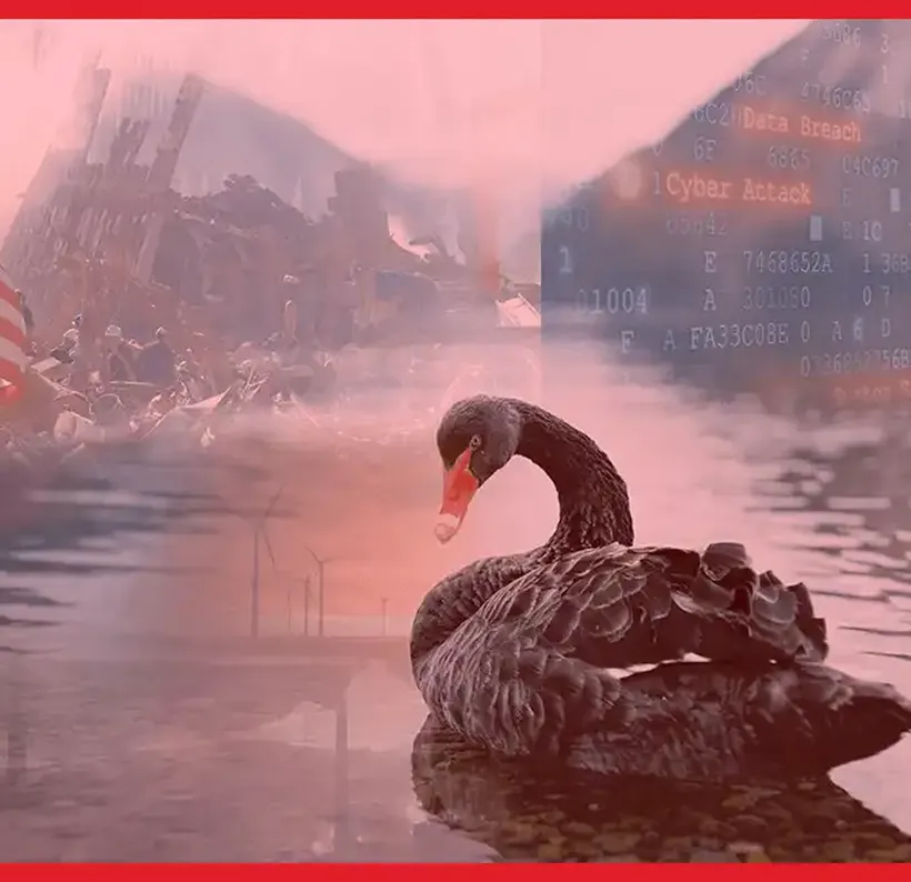 Borsada Siyah Kuğu (Black Swan) Nedir? Tarihsel Örneklerle İnceleme