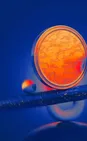 Bernstein Sees Annual Prediction Market Volumes Hitting $10 Trillion by 2035 as Financial Assets Overtake Sports